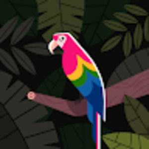 Meet your Posher, Kaylee